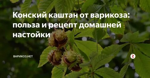 Каштан инструкция по применению