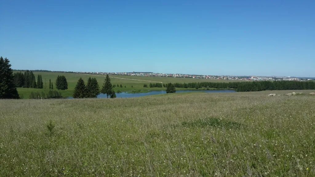 Д пычанки. Пычанки ижевск пруд. пруд пычанки завьялово.