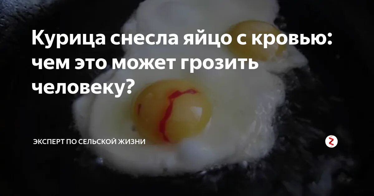 К чему снятся яйца куриные сырые разбитые. Кровавый сгусток в яйце. В куриных яйцах кровяные сгустки что это такое.