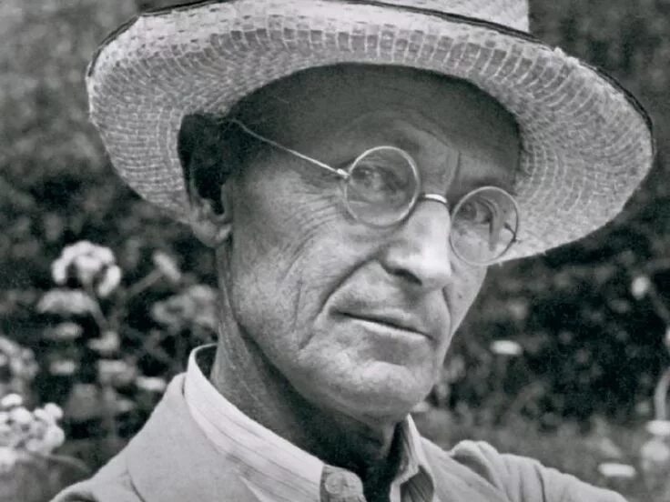 Гессе ученый. Гессе значения. Гессе значения. Херман хессе. Херман хессе.