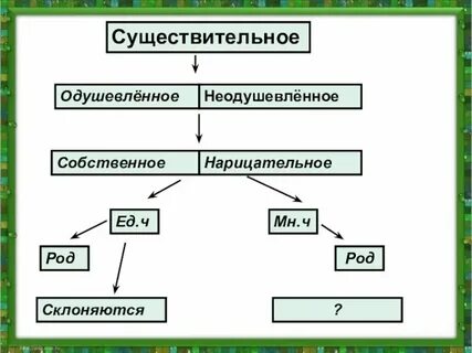 Существительное неодушевленное собственное единственного числа