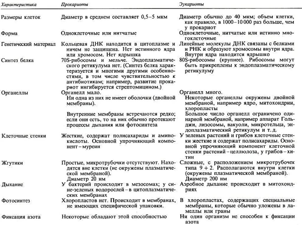 Клетки прокариот отличаются