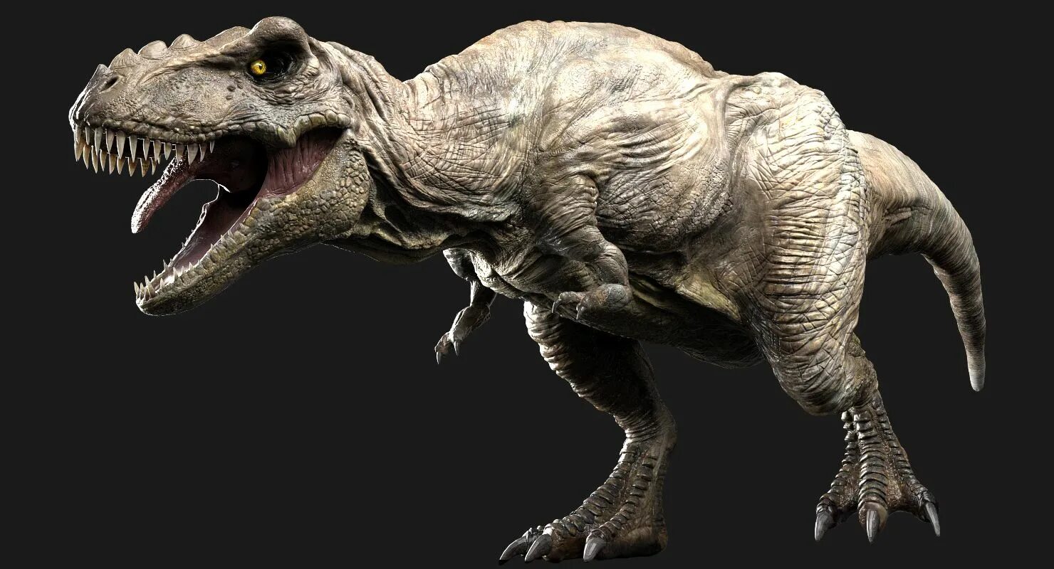Рост тираннозавра. Tyrannosaurus rex 3d model. tyrannosaurus_rex_rigged. тираннозавр рекс рост. тираннозавр рекс 2025.
