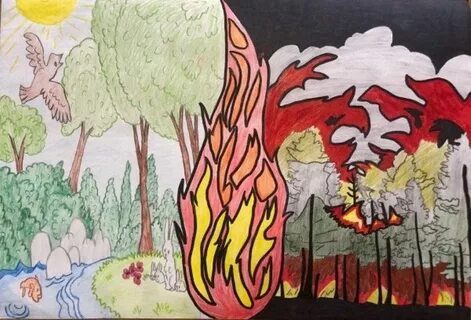 Лесные пожары детские рисунки