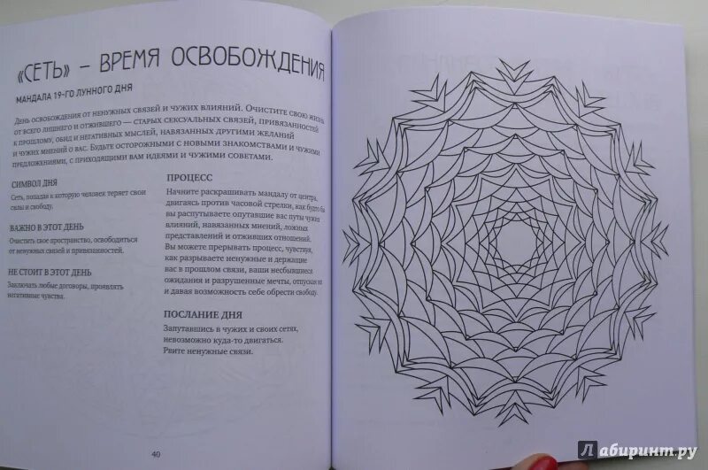 Программа мандала. Программа мандала