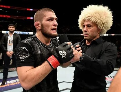 Fight tv