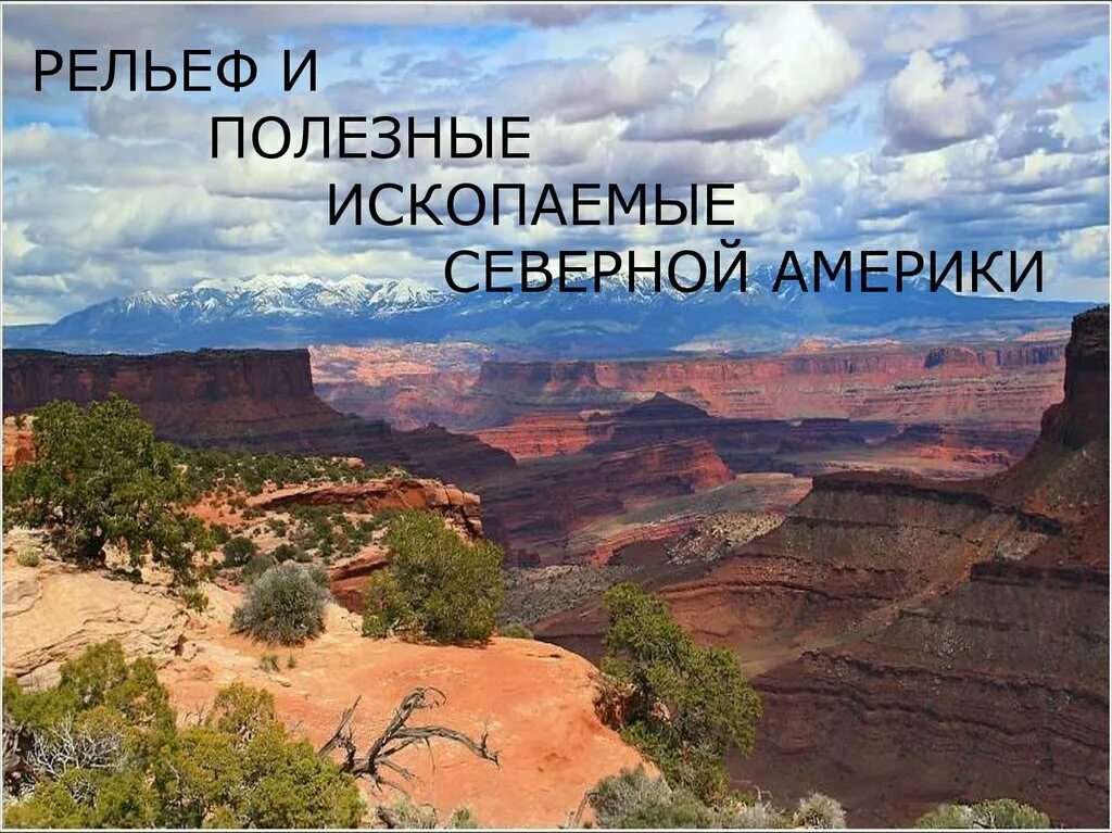 Рельеф сша 7 класс география. Рельеф и полезные ископаемые Северной Америки. Рельеф полезных ископаемых Северная Америка. География рельеф Северной Америки. Рельеф Северной Америки хорошее качество.