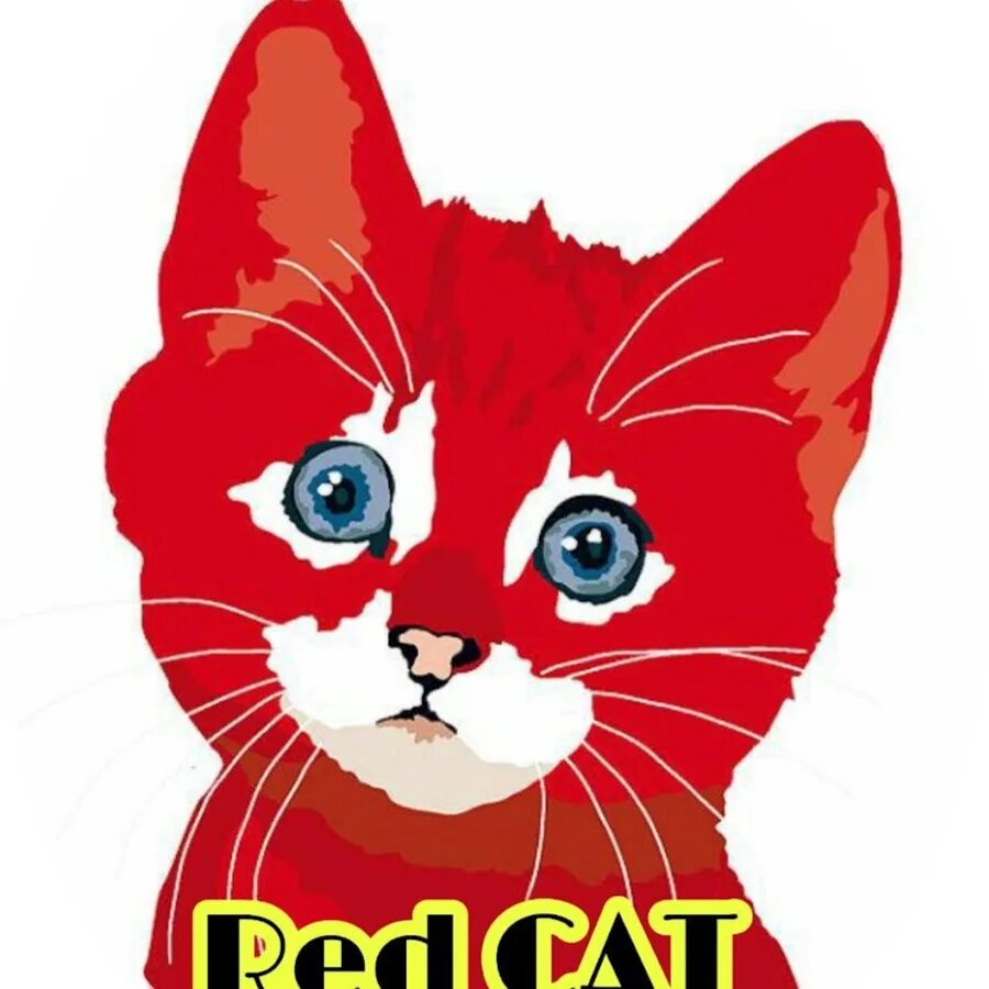 Ред Кэт. Канал Red Cat. Red Cat лицо. 4 red cat