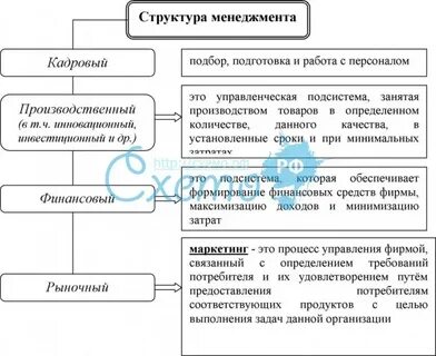 Состав менеджмента
