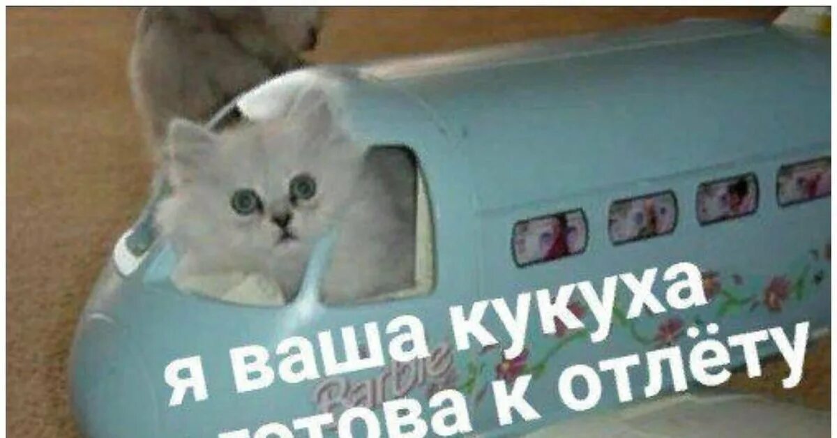 Вы готовы картинка. Послать весь мир к черту. Старичок идем на пикничок. Ну что дети вы готовы. Чапаев негр.
