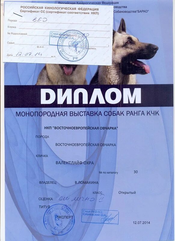 Курсы ркф. Курсы ркф