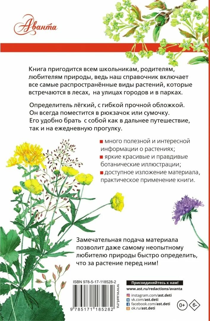 Читать книгу о растениях