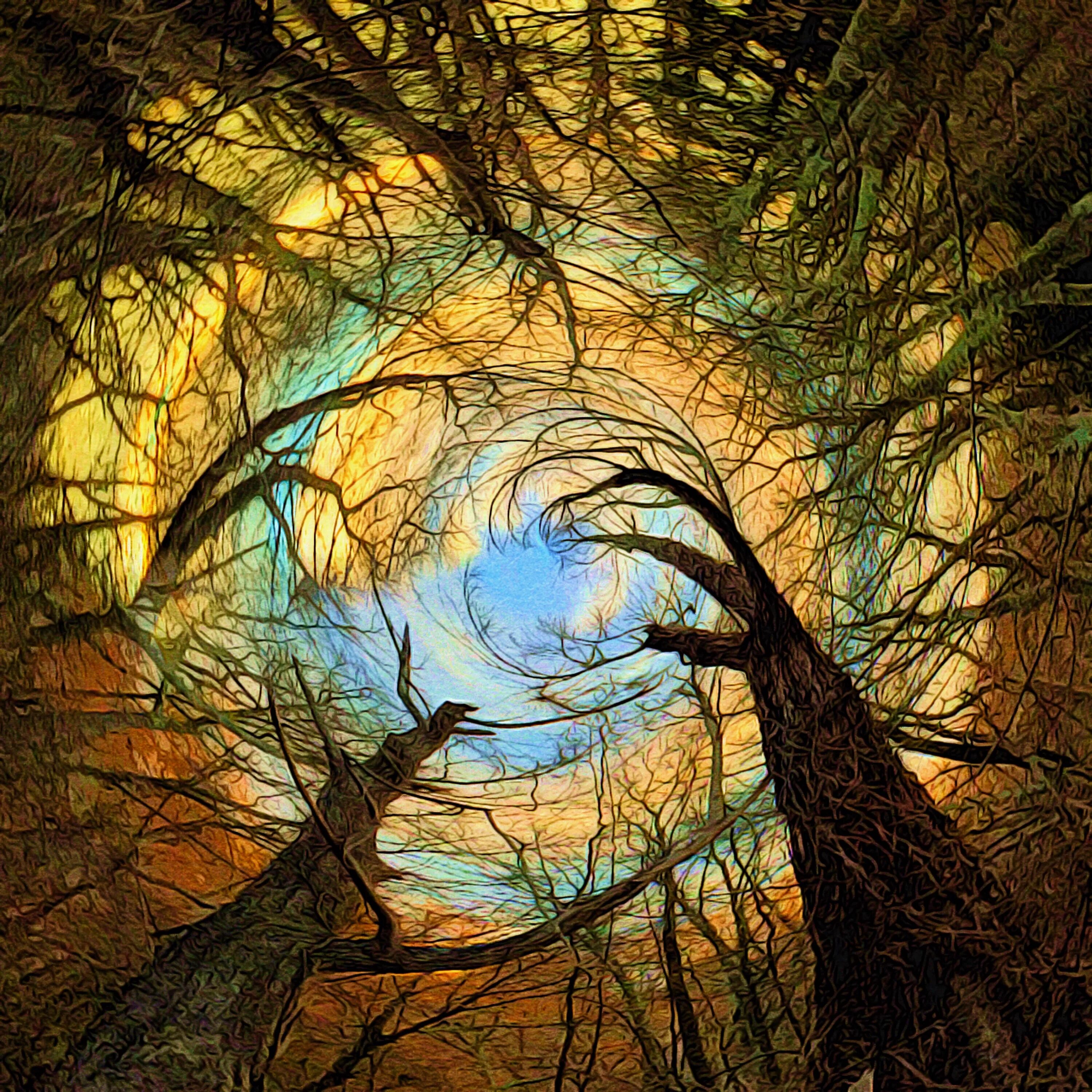 Абстракция леса. Абстракция природа. Абстрактный лес. Зеленая абстракция лес. Лес абстракция в хорошем качестве.