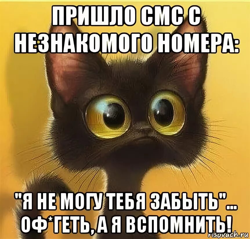 Стих меня забыли. Когда ты нужен о тебе вспоминают цитаты. Поговорка один раз откажи запомнят. А ты не вспомнишь. Пока первый не напишешь никто.