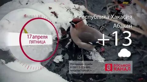 Тв передачи красноярск на сегодня