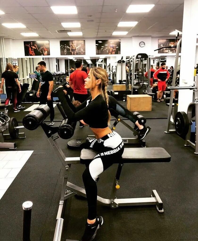 аполлон воронеж тренажерный. аполлон воронеж фитнес клуб. зал спорта водопьянова. аполлон воронеж фитнес клуб. аполлон спортзал воронеж.