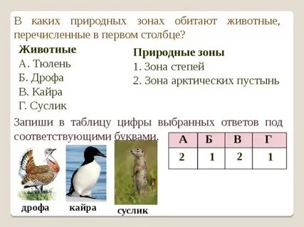 Прочитайте название животных
