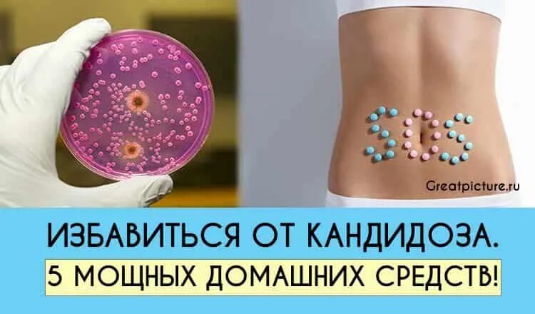 Как избавиться от грибка кандида. Избавление от грибка в организме. Грибок кандида в организме. Грибок в организме как избавиться. Грибы рода candida симптомы.