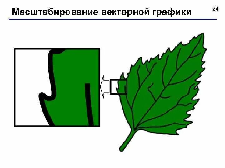 Масштабирование. Масштабирование растровой и векторной графики. Растровое и векторное изображение.