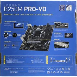 Msi b250m pro