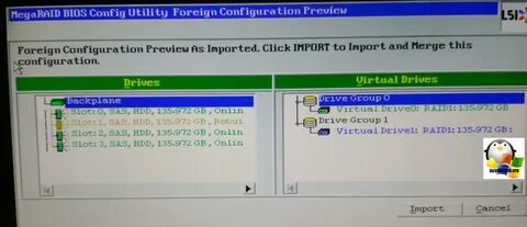 Megaraid bios utility