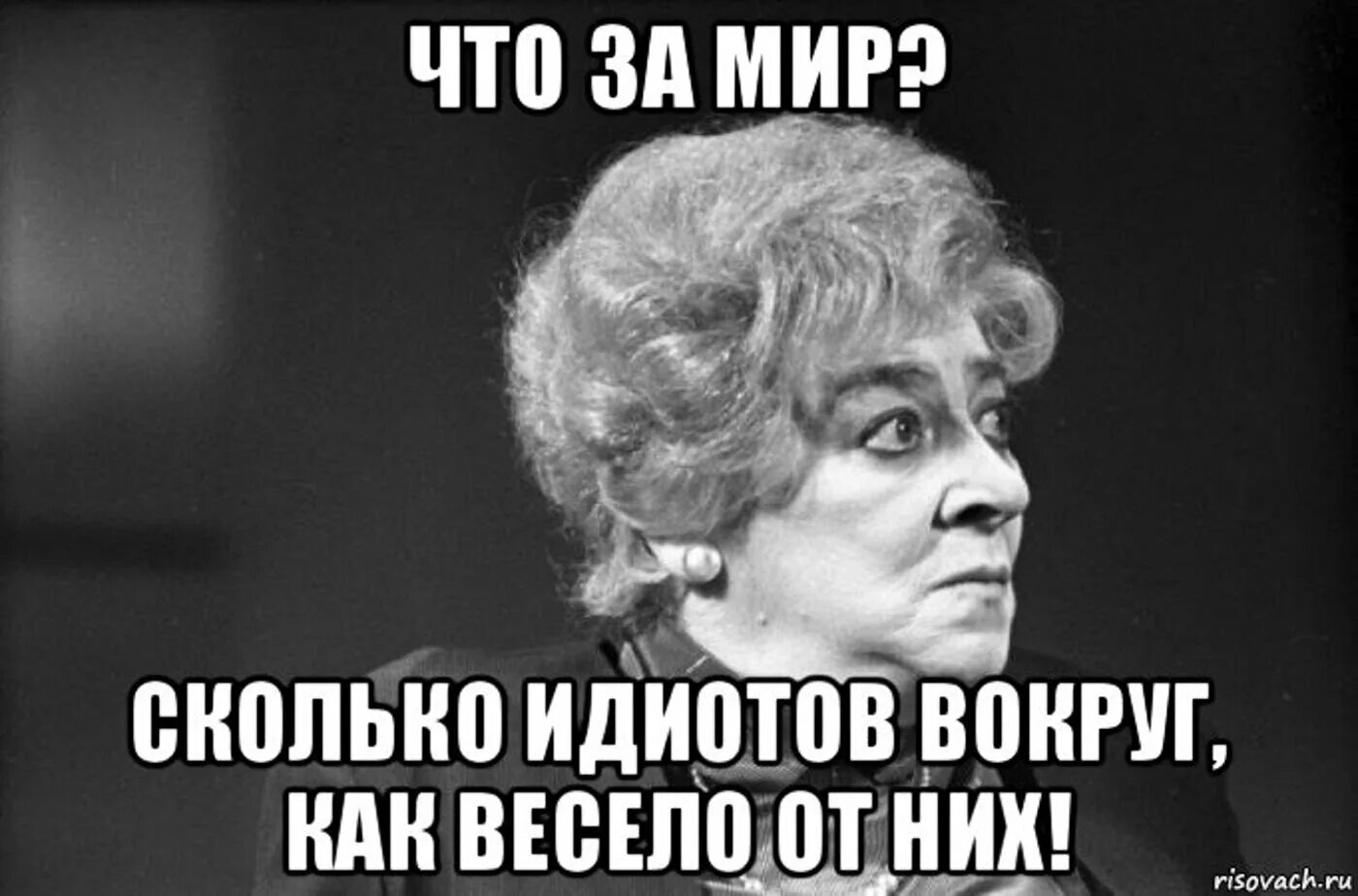 Весел как никогда. Про придурков высказывания. Высказывания про дебилов. Цитаты про идиотов. Цитаты про дебилов.