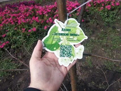 Уфа посадка