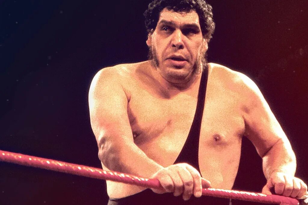 Андре Рене. Рестлер Andre the giant. Andre the giant рост. Андре русимов