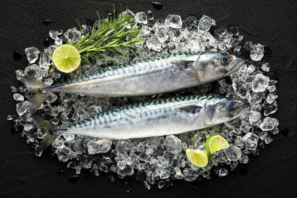 замораживание продуктов. Frozen fish. разные рыбы. свежезамороженная рыба. чавыча филе.