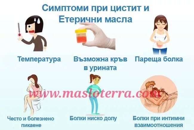 Парится при цистите. Парится при цистите