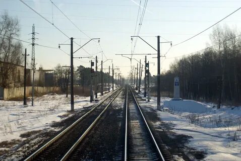 Железнодорожный петушки