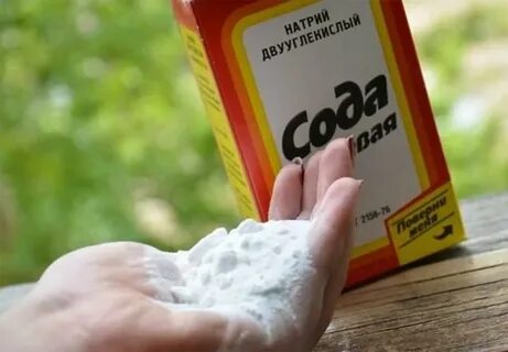 Сода фото