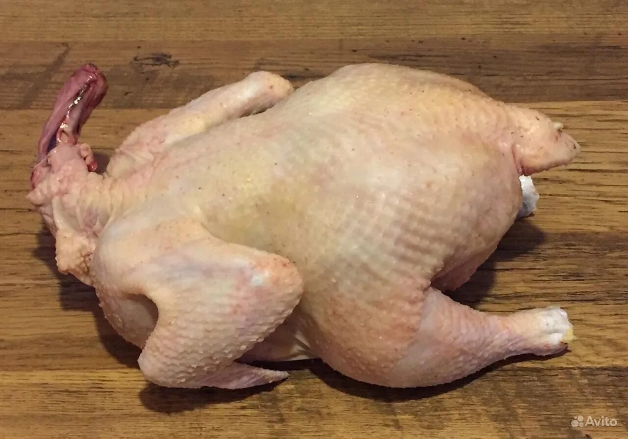Тушки бройлера домашнего. Курица охлажденная. Курица бройлер мясо. Тушка бройлера. Тушка куриная.