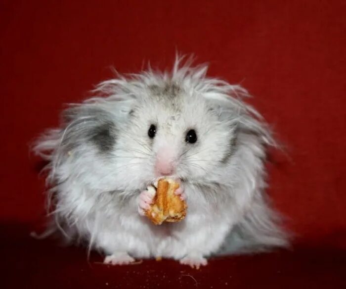 Можно подумать можно подумать. Мудрые цитаты. Классный вечер цитаты. Картинки лиля, глядя на тебя можно подумать, что в стране голод. Утро прикольное хомяк.