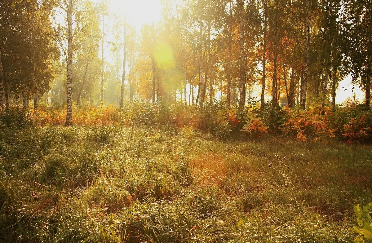 Утро осени картинки. Осеннее утро. Осеннее утро фото. Осень утро картинки. Раннее осеннее утро картинки.