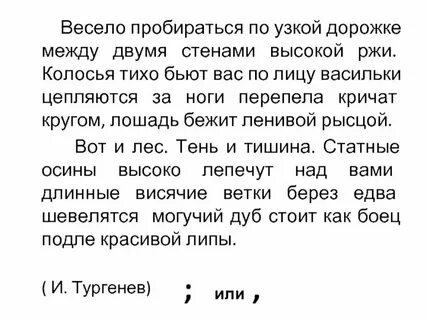 Шагали мышки по узенькой дорожке