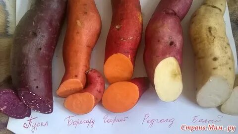 Батат вкус