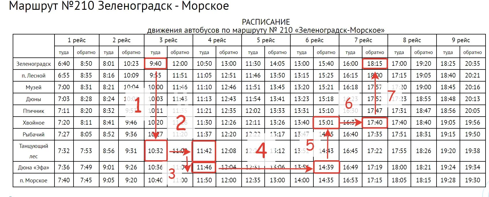 Расписание 210 зеленоградск. Автобус 210 Зеленоградск. Автобус 210 Куршская коса. Маршрут 210 Зеленоградск Куршская коса. Расписание автобусов Зеленоградск Лесное Куршская коса.