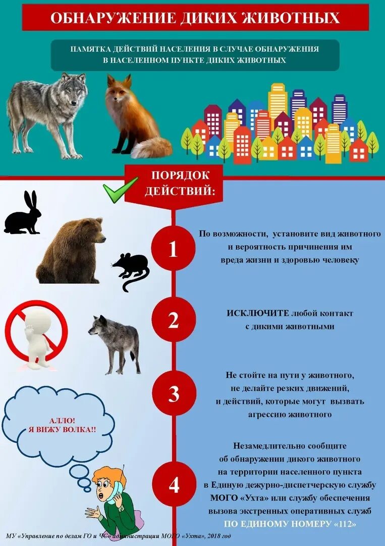 Безопасность животных