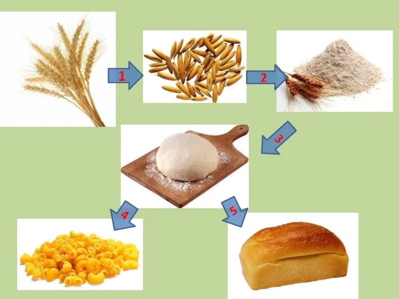 От зернышка до хлеба. Пшеница мука хлеб. От пшеницы до хлеба для детей. Как и из чего делают хлеб.