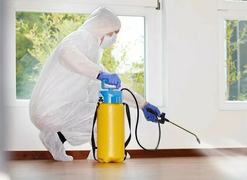 дезинфекция автотранспорта. экодезгруп, дезинфекционная служба машиностроителей, 19. распылитель для дезинфекции jn rkjgjd. дезинсекция нижний новгород. дезинсекция нижний новгород.