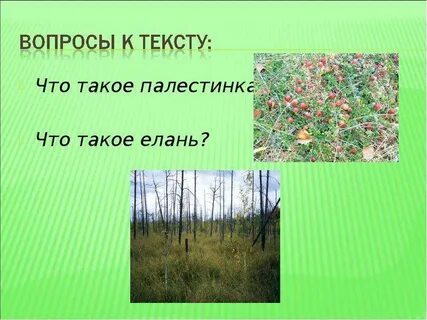 Предложение кладовая