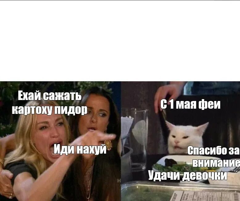Главный мем мая 2025 Маи мем