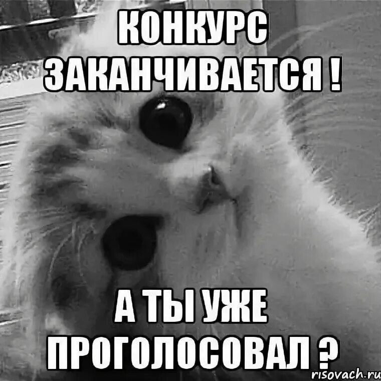 Проголосуйте пожалуйста за мою племяшку настю