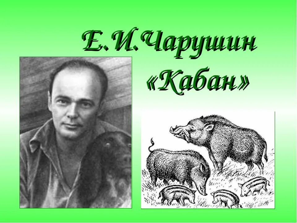 кабан рассказ 4 класс литературное чтение. кабан рассказ 4 класс литературное чтение. вопросы к произведению кабан. е и чарушин кабан. план рассказа чарушина кабан 4 класс.