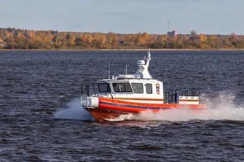 Лидер 11