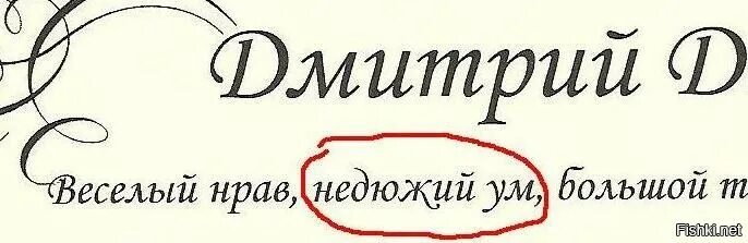 Превнести или привнести как правильно
