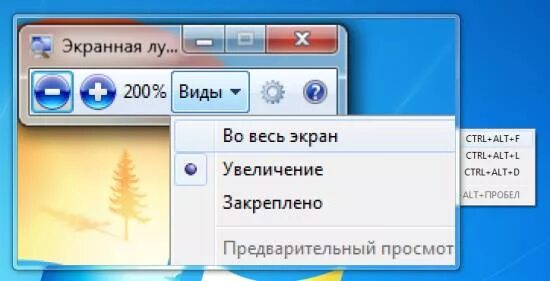 Windows экранная лупа. Экранная лупа Windows. Экранная лупа Windows 7. Экранная лупа как включить. Как использовать лупу на ПК.