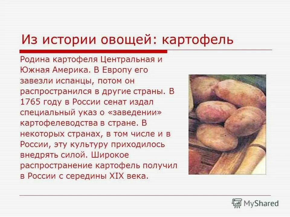 Происхождение культурного растения картофель. Кратко о картошке. Рассказ про картофель. Доклад о картошке.