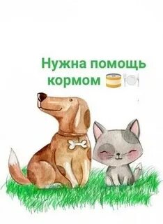 Нужен корм